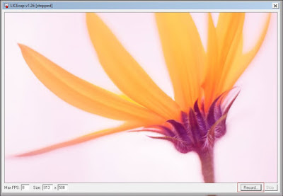 animated gif image capture tools, windows gif image creator tool, capture animated gif image, how capture animated gif image, capture animated gif photo windows pc, windows tools capture gif images, GIF Image screenshot tools LICEcap Windows App To Capture Animated GIF Image