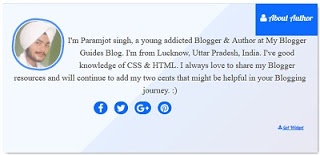 Stylish Blogger Author Box Admin box for blogger, author box for blogger, below posts about admin box, below posts about author box